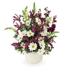 June Herbert Obituary