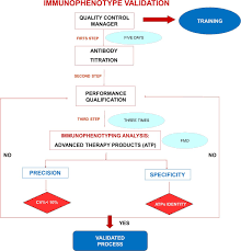 Immunophenotype Validation Protocol Flow Chart The