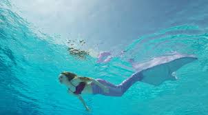 Image result for real mermaid