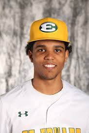 St. Edward Baseball: Senior Logan Wiggenhorn throws a no-hitter, strikes  out 11