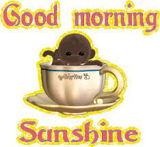 Lift your spirits with funny jokes, trending memes, entertaining gifs, inspiring stories, viral videos, and so much more. Best Good Morning Sunshine Gifs Gfycat