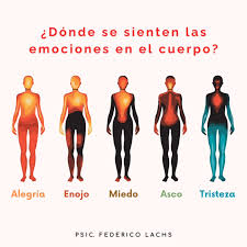 Las emociones no son solo fenómenos mentales, sino también corporales, que  nos informan de nuestra realidad externa e interna a partir de sensaciones  corporales específicas. Conocer qué sensaciones y dónde se manifiestan