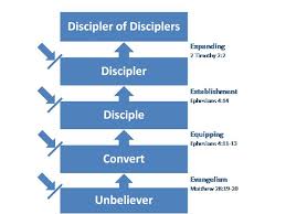 renewing truth rightly divided discipleship