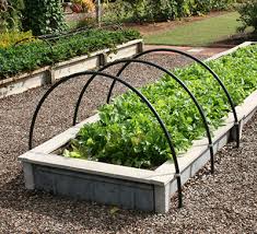 Like other landscape features, not all raised beds are the same. Raised Beds Benefits And Maintenance Gardening Solutions University Of Florida Institute Of Food And Agricultural Sciences