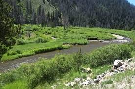 Madison County, MT Natural Forest Land for Sale