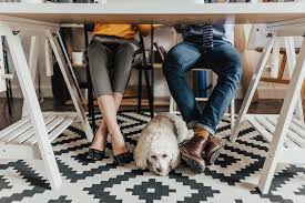 Janet in north carolina asks: How To Pet Proof Your Rental Or Home