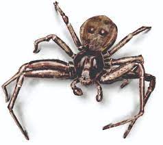 Great news!!!you're in the right place for black crab. Get Rid Of Crab Spiders Facts On Identification Bites