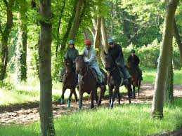 Centre D Entrainement De Maisons Laffitte Yvelines Tourisme