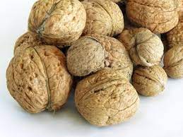 How To Plant Black Walnut Trees From Seeds With Husks Ehow Black Walnut Tree Walnuts Walnut Tree