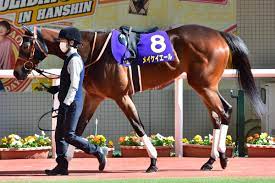 2021年 キーンランドカップ（gⅲ） | 第16回 | jra公式. Jra ãƒ¡ã‚¤ã‚±ã‚¤ã‚¨ãƒ¼ãƒ«ã®å¹³åœ°èª¿æ•™å†å¯©æŸ»ã« ç–'å• ã®å£° æ­¦è±Š å¿ƒé…ã—ã¦ãªã‹ã£ãŸ å˜èµ°ã‚¹ãƒˆãƒ¬ã‚¹ãƒ•ãƒªãƒ¼ã®åˆæ ¼ã« æ„å'³ã‚ã‚‹ã®ã‹ ã¨ã®å£°ã‚‚ Gj