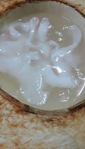 Punya resep masakkan atau resep pribadi? Resipi Jeli Kelapa Muda Guna Sukatan Cawan Sedap Sejuk Dimakan