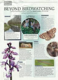 April Bird Of The Month April Wildlife In My Monthly Column For Birdwatching Magazine Bird Watching Bird House Kits Riverbank