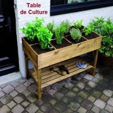 Tanaisie Un Repulsif Naturel Efficace Potager Sur Pied Potager Bois Carre Potager