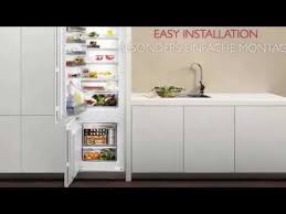 Kuhlschrank Einbauen Leicht Gemacht Easy Installation Von Youtube