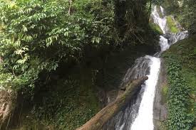 Gambar animasi air terjun bergerak | gambar wallpaper air terjun waterfall. Wisata Takengon Aceh Nikmati Air Terjun Mengaya Dengan Pemandangan Asri Halaman All Kompas Com