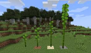 1 point · 1 year ago · edited 1 year ago. Minecraft How To Get Bamboo