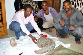 Yesu alifanya hivyo, lakini hakufanya muujiza bila hisia. Neema Chavala Mwenye Uwezo Mwambije The Great Kutana Na Bingwa Wa Kucheka Tanzania