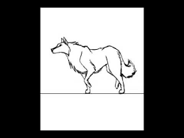 Wolf Walking Animation Youtube Cartoon male wolf scout walking. wolf walking animation