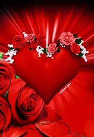 I love you to the moon and back. 126 Lovely Flowers Ideas Flowers Beautiful Roses Beautiful Flowers