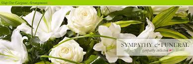 Maybe you would like to learn more about one of these? Send Flowers In Brooklyn Ny