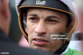 30 Silvestra Stock Photos, High-Res Pictures, and Images