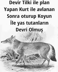 Birnurceylan Adli Kullanicinin Evde Egitim Panosundaki Pin 2020 Guzel Soz Ilham Verici Alintilar Alintilar