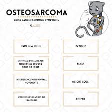 These tests raise the possibility of a tumor in the chest/lung. Types Of Childhood Cancer Acco