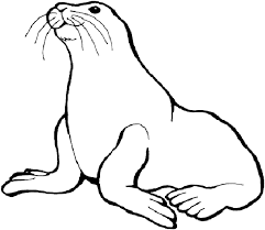 Coloring pages are no longer just for children. Seal Coloring Pages Best Coloring Pages For Kids