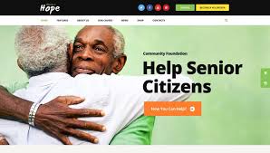 Are you looking for a starter theme for wordpress to speed up theme. Wordpress For Nonprofits Best Themes Plugins And Tools
