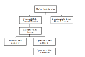 Automaker Risk Management Organizational Chart Download