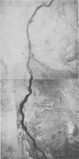 Image result for Pycreus fluminalis