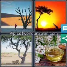 Wordscapes daily puzzle sept 30 2020. 4 Pics 1 Word Bonus Puzzle September 30 2020 4 Pics 1 Word Daily Puzzle Answers