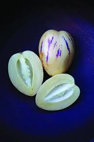 Pepino Melon 95 Days Fruit Benefits Purple And White Flowers Melon