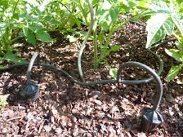 Check spelling or type a new query. Arrosage Goutte A Goutte Iriso