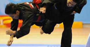 The Silat Olahraga Malay Martial Arts Silat Martial Arts Martial Best Martial Arts