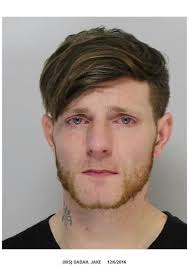 Three busted for break-in; fourth sought