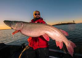They debuted on july 1, 2018 with the single „secret of my heart. Three New Legend Tournament Musky Rods Designed To Present Smaller Baits To Big Fish Westernbass Com
