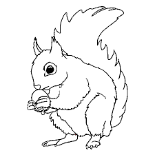 Pin On Coloriages D Automne