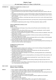 marketing consultant resume samples