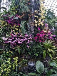 Orchidelirium 2016 Orchid Show At The New York Botanical Garden Quintessence Tropical Garden Orchids Garden Vertical Garden