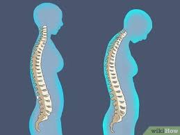 Loss of bone mass in the split pane can be hidden under the gum. 3 Ways To Reverse Dental Bone Loss Wikihow