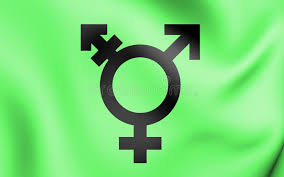 Transgender flagge mit der größe von 150x90cm. Israelische Transgender Flagge Stock Abbildung Illustration Von Welle Alternative 87964684