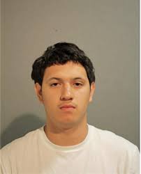 ᐅ Illinois Criminal Records 2009-2025