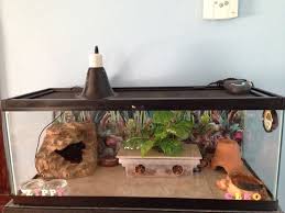 Pin By S On Z Diy Accessories Leopard Gecko Habitat Leopard Gecko Terrarium Gecko Habitat