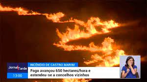 Os destaques musicais vão para os concertos de verão, em lagos. Nbwqaxv4b5042m