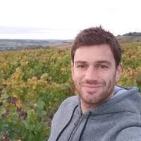 80+ "Thomas Buttner" profiles