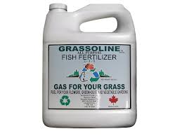 Maybe you would like to learn more about one of these? Grassoline Brand Liquid Fish Fertilizer 2 3 0 4 Litre Renuable Resources Campbell River Landscape Product Sales Delivery