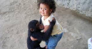 رحلة أفريكا سفاري بارك Africa Park