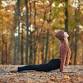 Yoga for Gratitude event image