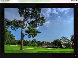 Jan Brice is fundraising for Alzheimer's Society